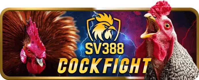 Cá cược thể thao J33